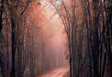 马竞主场大胜，稳健击败对手