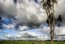 英格兰队妙手回春，以实力逆袭激励未来