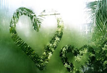 河南队客场逆转胜利，士气高昂